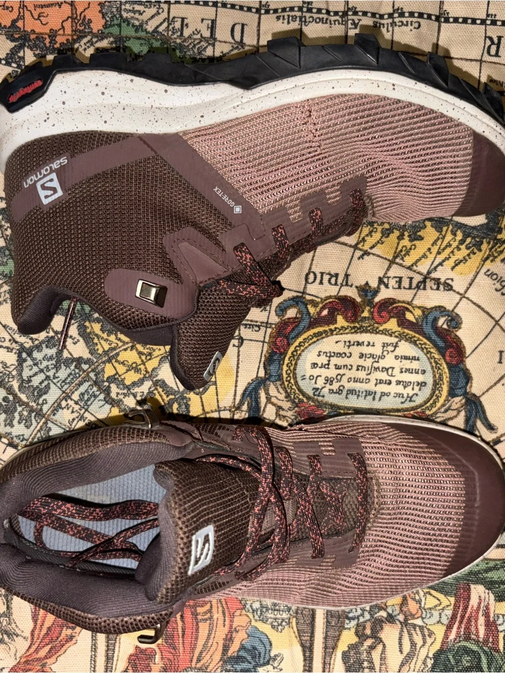 SalomonTrail Shoes - Brown/Rose